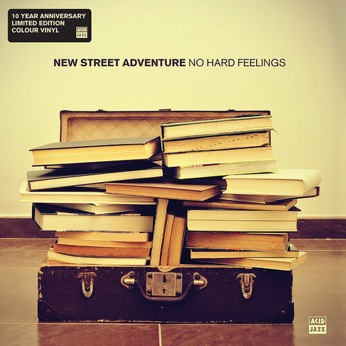 New Street Adventure: No Hard Feelings - {VINYL LP}