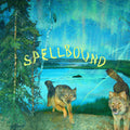 Boyscott: Spellbound - {VINYL LP}