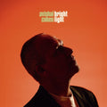 Avishai Cohen: Brightlight - COMPACT DISCS