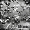 Kilograms: Every Street / Drop That Guff - 7-INCH SINGLE