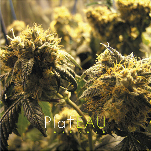 Plateau: Kushbush - {VINYL LP}