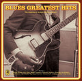 Various Artists: Blues Greatest Hits / Various - {VINYL LP}