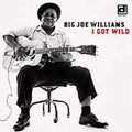 Big Joe Williams: I Got Wild - COMPACT DISCS