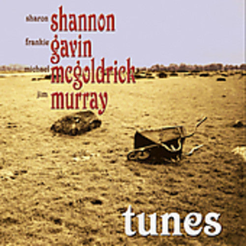 Frankie Gavin: Tunes - COMPACT DISCS