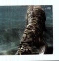 Kid606: Done with the Scene - 12-INCH SINGLE