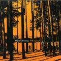 Stephen Fearing: Yellow Jacket - COMPACT DISCS