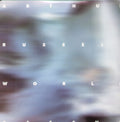 Arthur Russell: World of Echo - {VINYL LP}