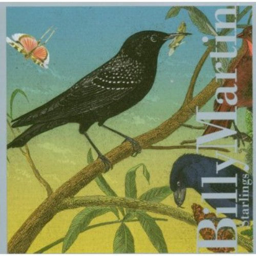 Billy Martin: Starlings - COMPACT DISCS